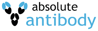 Absolute Antibody Logo