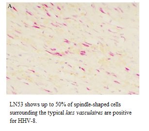 FEATURED ANTIBODY REAGENT OF THE WEEK